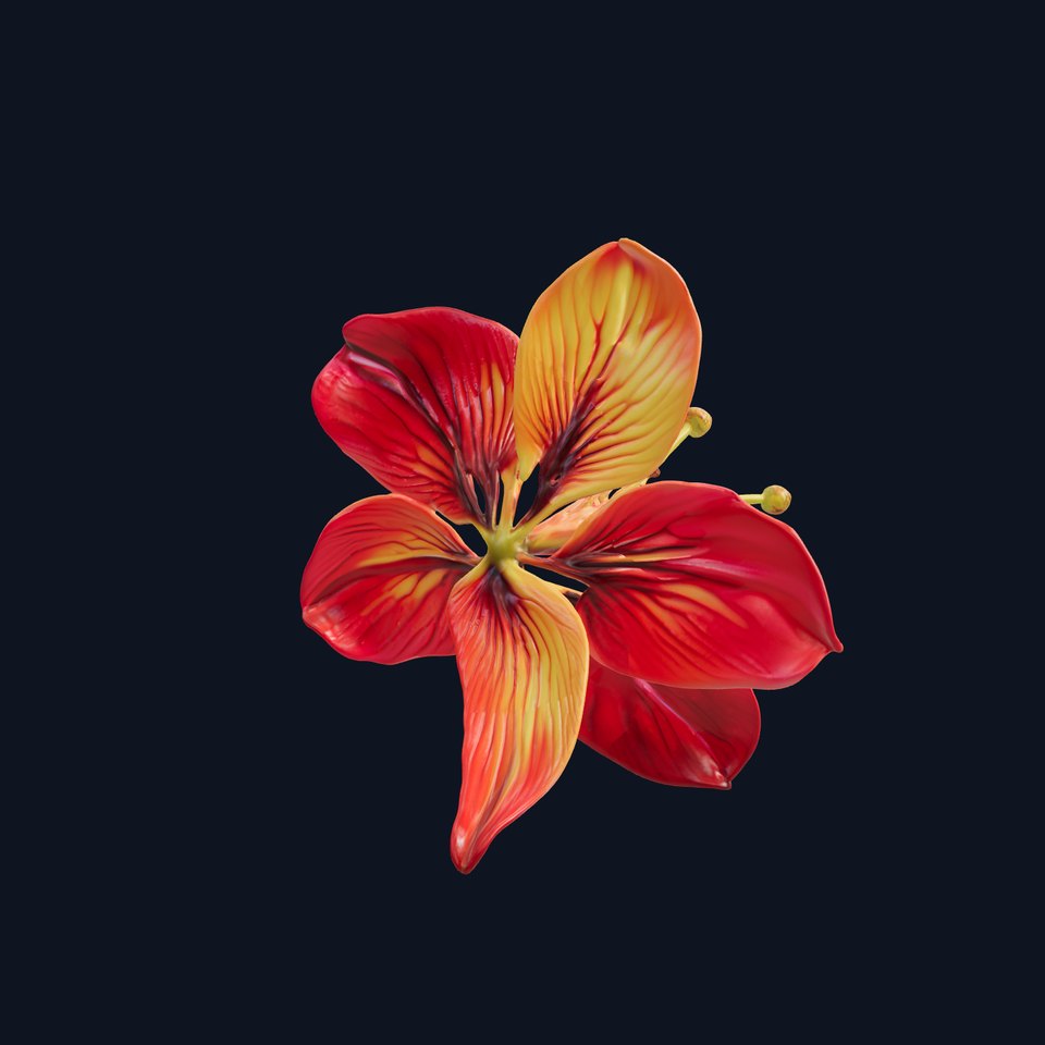 Vibrant Hibiscus Flower D Model Pack